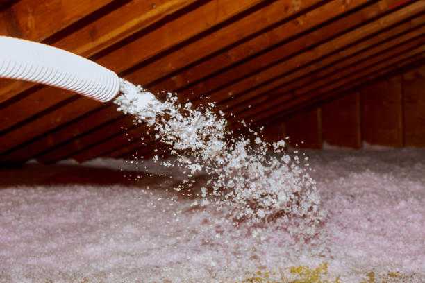 Best Insulation Installation Services in Pleasureville, KY