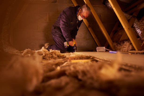 Best Insulation Installation Services in Pleasureville, KY